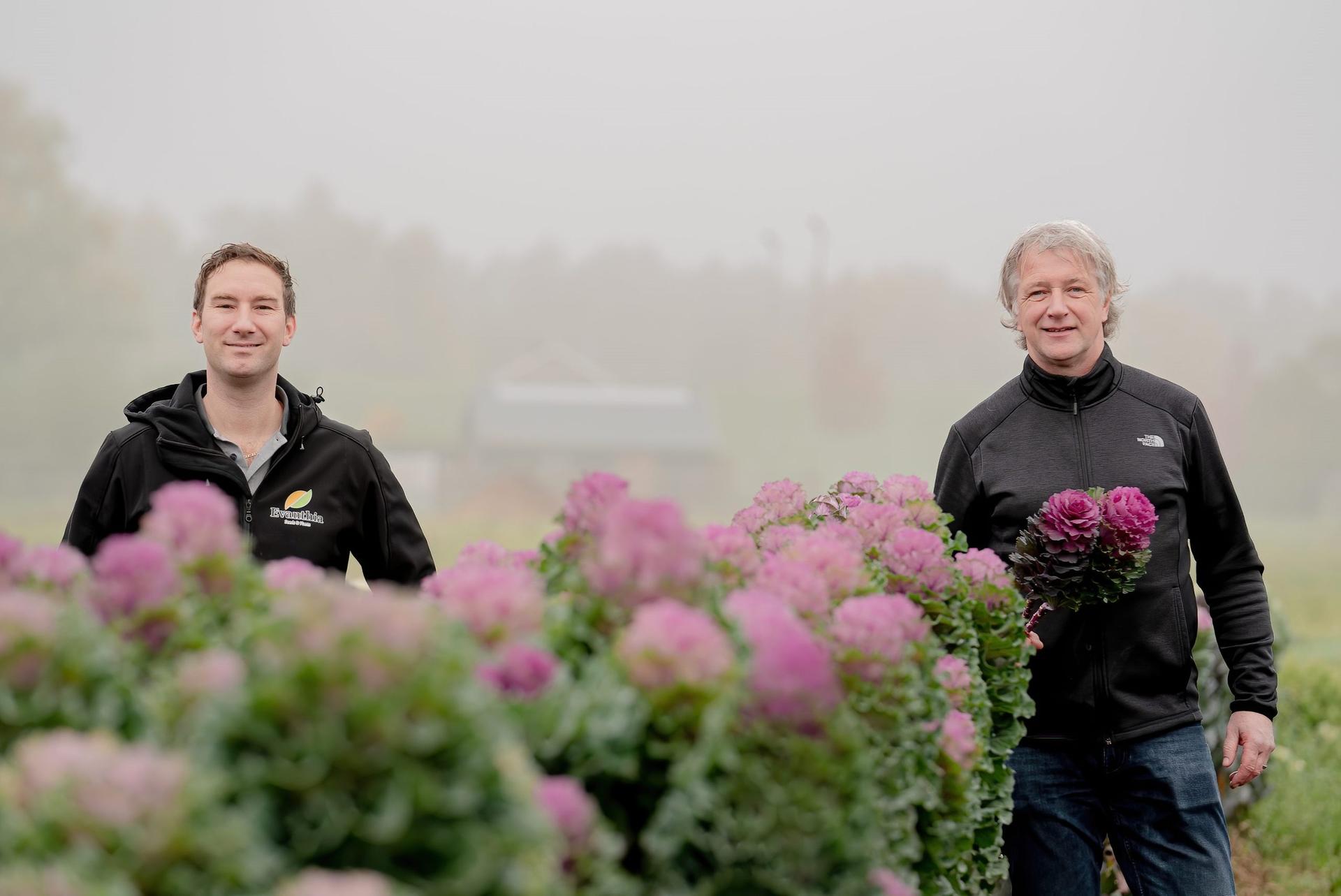 Brassica Empire in the news