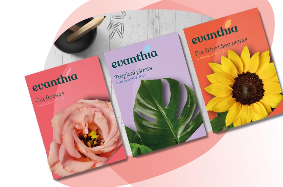 OUT NOW: Our new catalogues!