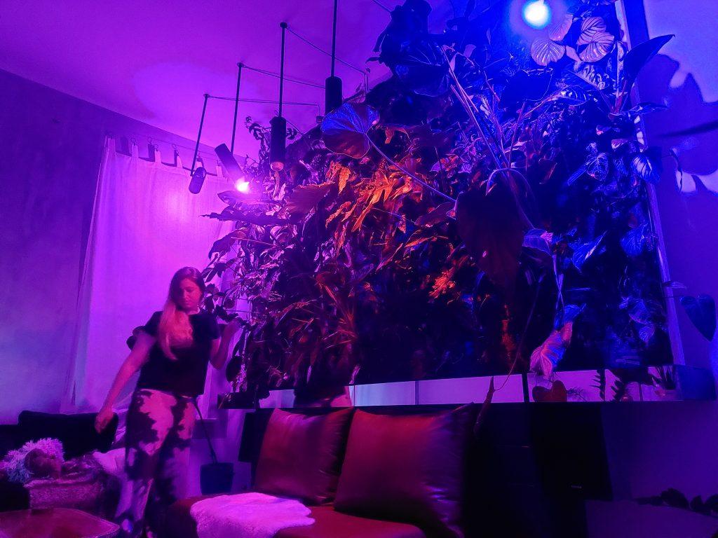 Plant ambient