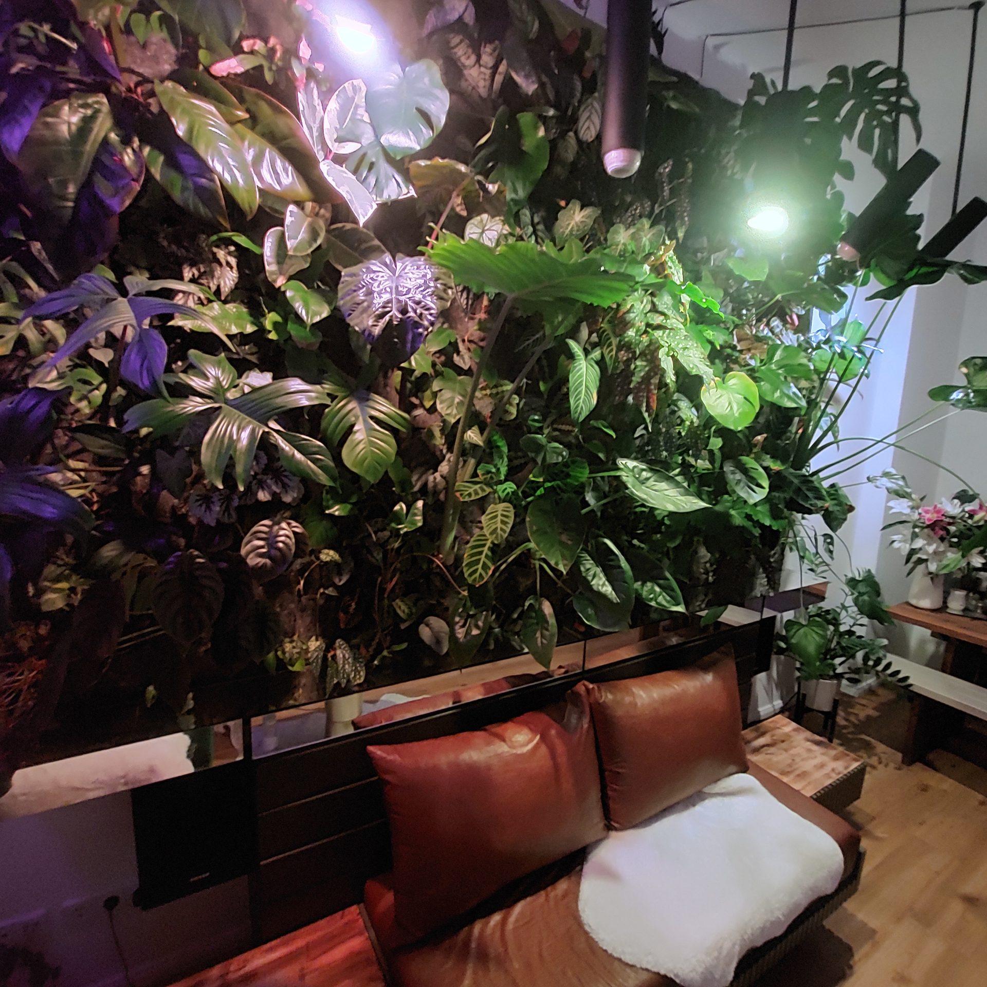 Living Green Wall at Home
