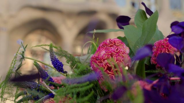 on-tour-through-form-and-colour-gaudi-meets-celosia-act