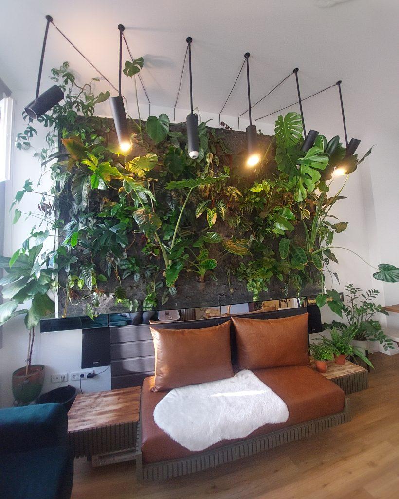 10 Surprising Plants to Elevate Your Green Wall