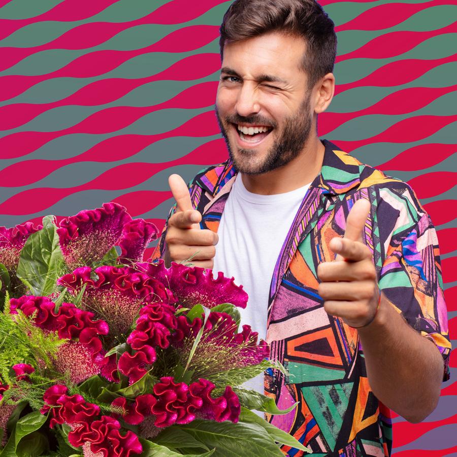 Celosia Field Trials