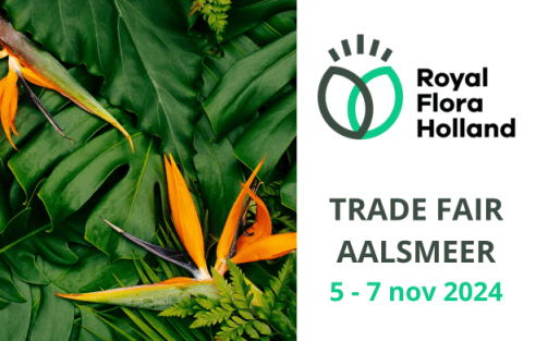 Descubra la gama superior de plantas tropicales de Evanthia en la Feria (Tradefair) de Aalsmeer