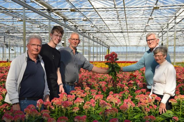 nederlandse-bloemen-als-vanouds-met-pasen-op-het-sint-pietersplein-vaticaanstad