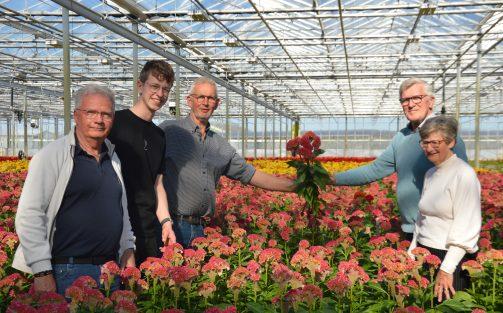 nederlandse-bloemen-als-vanouds-met-pasen-op-het-sint-pietersplein-vaticaanstad