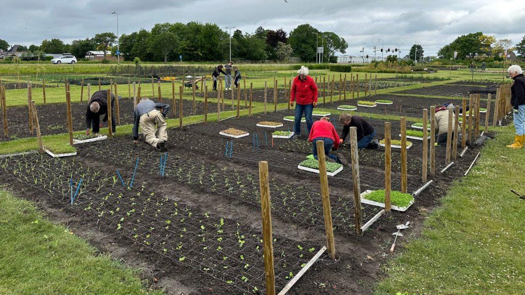 De Garden is getting ready for a colourful summer