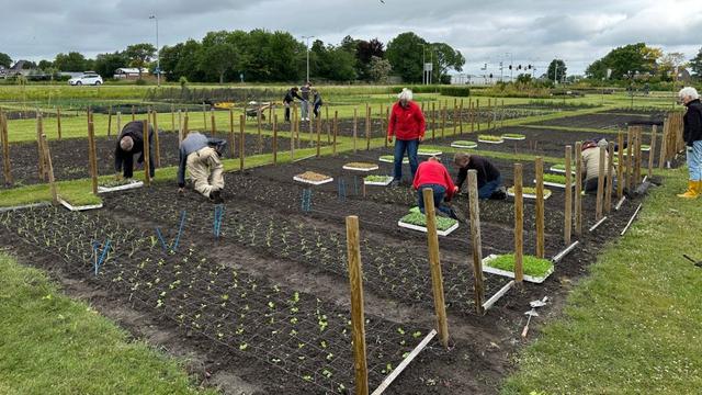 de-garden-is-getting-ready-for-a-colourful-summer