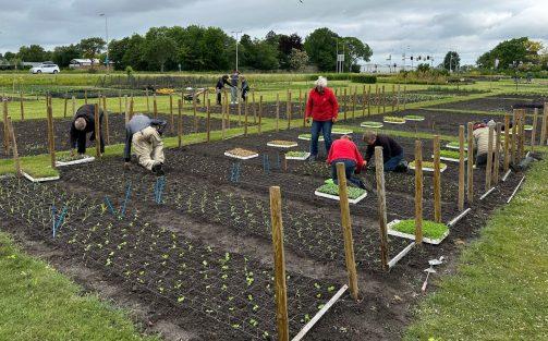 De Garden maakt zich op voor een kleurrijke zomer