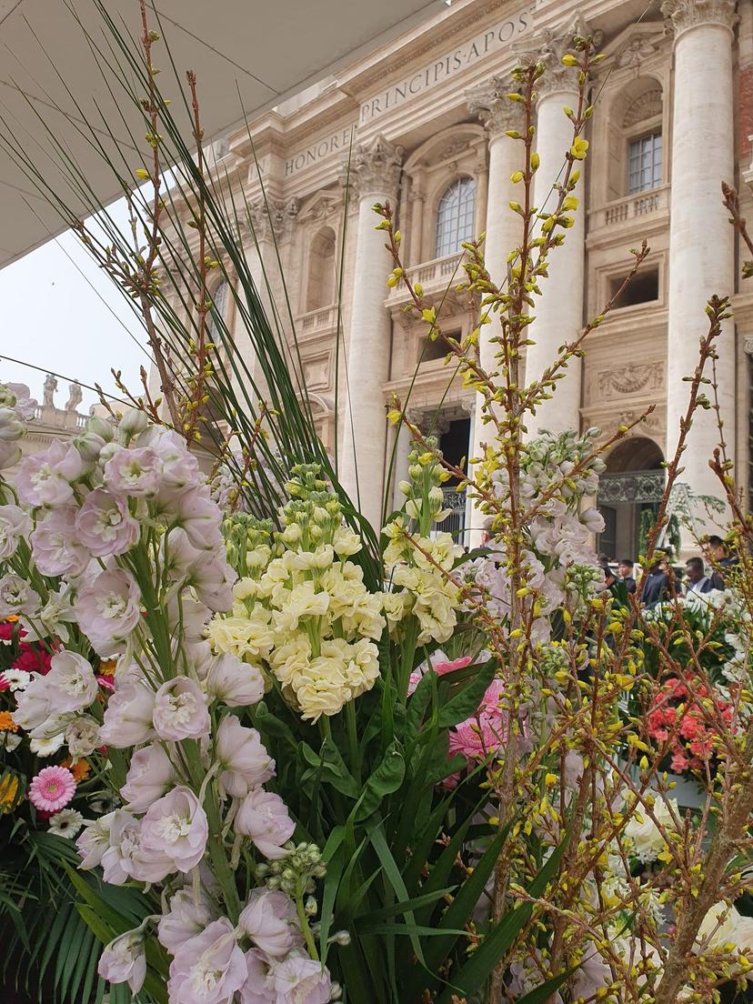 Dutch flowers in St. Peter’s Square in Rome