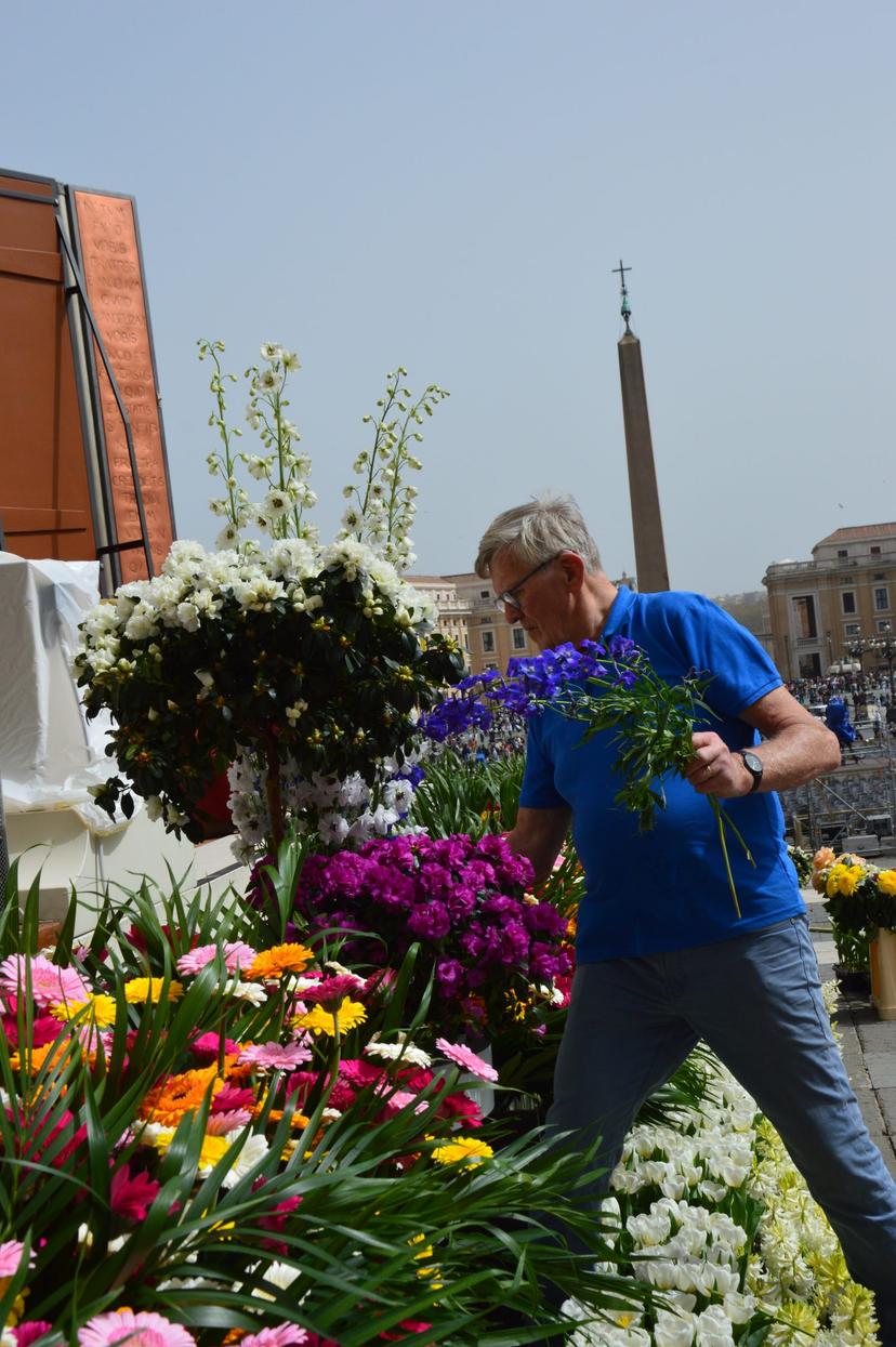 Dutch flowers in St. Peter’s Square in Rome